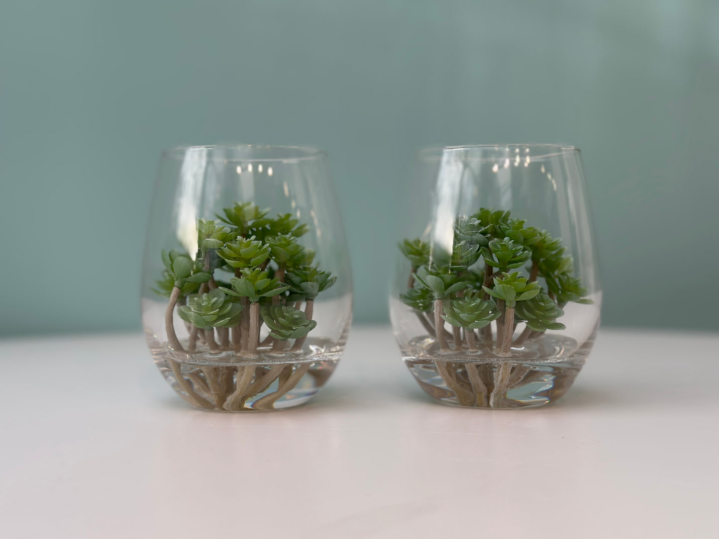 Mini RainForest
