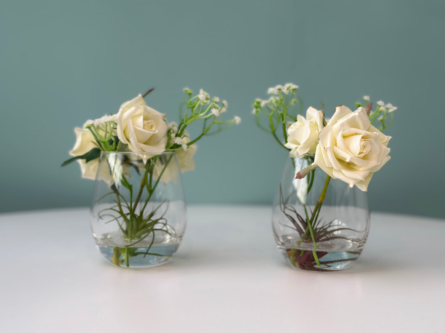 White Rose Garden