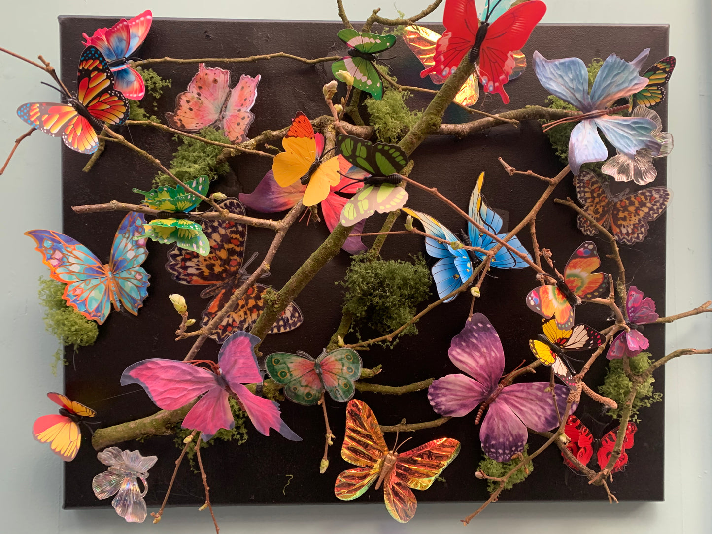 Butterflies on the Wall